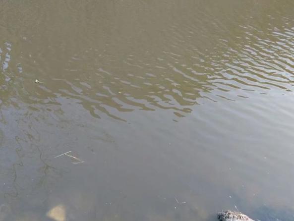 湖水消失湖底出現寶藏，村民們紛紛搶寶藏，忽然出現很多大蛇。湖底的慘叫聲不絕於耳。