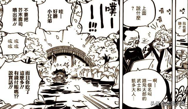 海賊王938話：索隆並不是因為受傷而暈倒，其中另有隱情