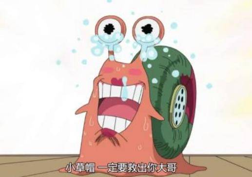 海賊王：海賊為何很少有電話蟲？真實原因牽出世界政府的大陰謀