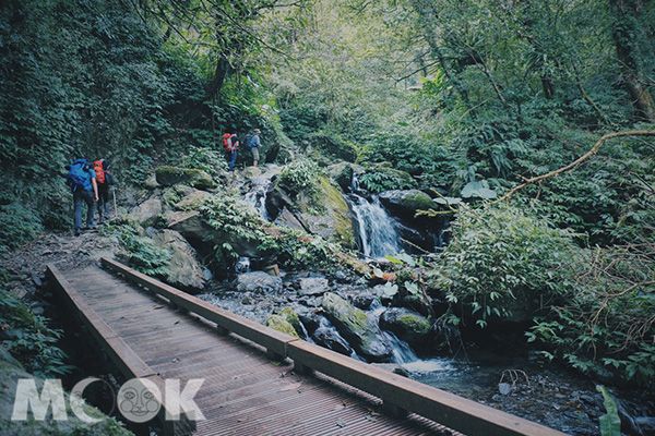 超療癒抹茶山！360度坐擁蘭陽百萬級夜景
