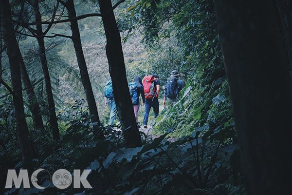超療癒抹茶山！360度坐擁蘭陽百萬級夜景