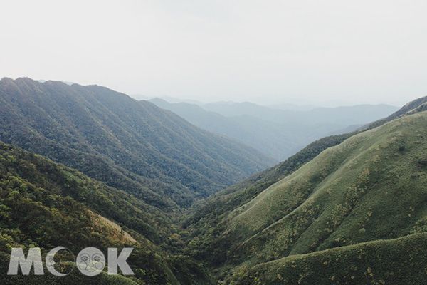 超療癒抹茶山！360度坐擁蘭陽百萬級夜景