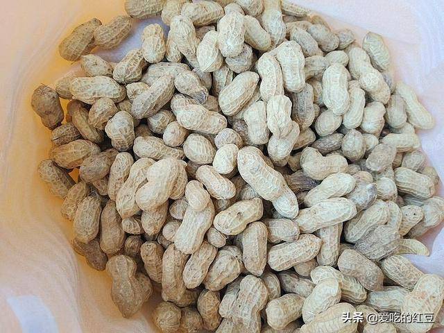 自製傳統花生醬，在家就能輕鬆做，比買的好吃多了