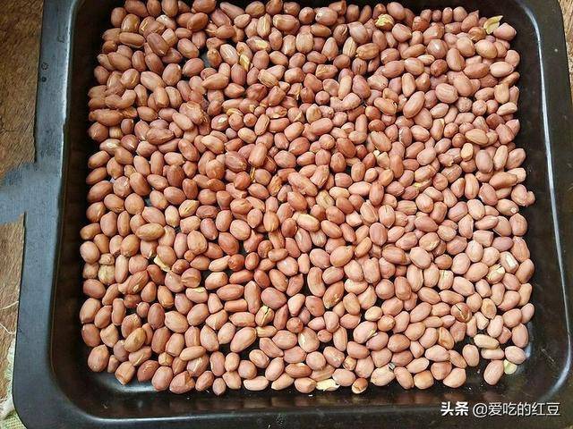 自製傳統花生醬，在家就能輕鬆做，比買的好吃多了