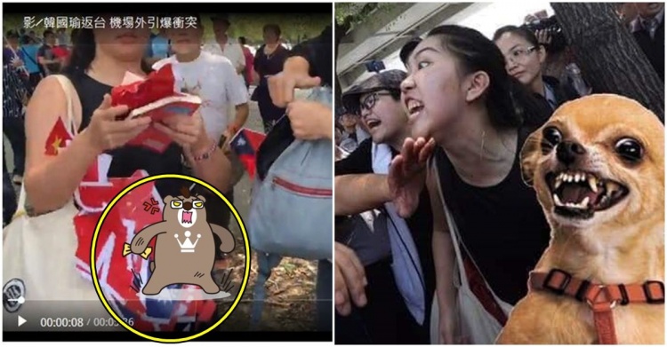 台獨女神崩壞？先譏笑殉職飛官又撕國旗「嗆言論自由」...證據曝光被起底：臉超腫