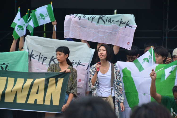 台獨女神崩壞？先譏笑殉職飛官又撕國旗「嗆言論自由」...證據曝光被起底：臉超腫