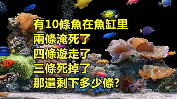 據說有99.9％的人都回答不出這道題目...你敢嘗試嗎?