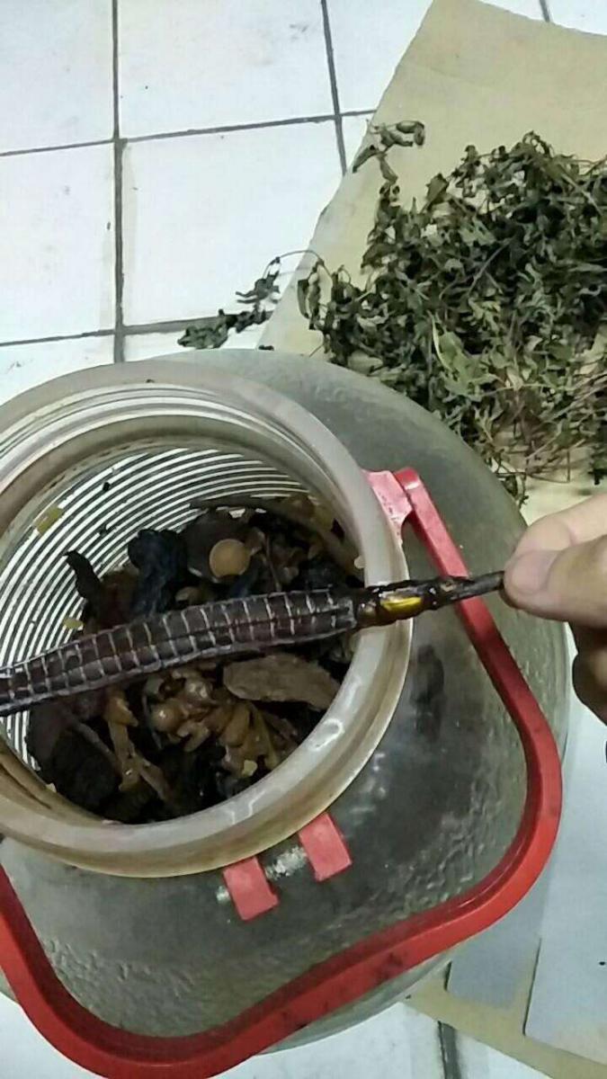 「破萬土龍藥酒」開心喝半年…快喝完「嘴巴一扯」才發現已經太晚