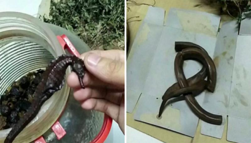「破萬土龍藥酒」開心喝半年…快喝完「嘴巴一扯」才發現已經太晚