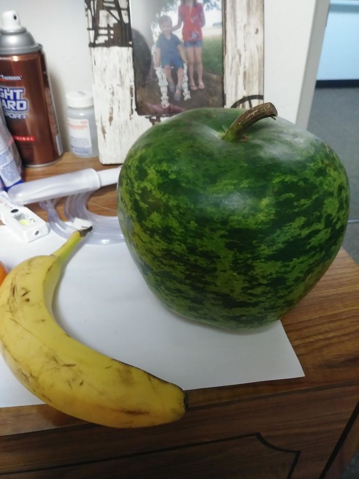 20張證明「你的大腦已經失去掌控」的錯覺照片　體育館變成UFO嚇壞同學！