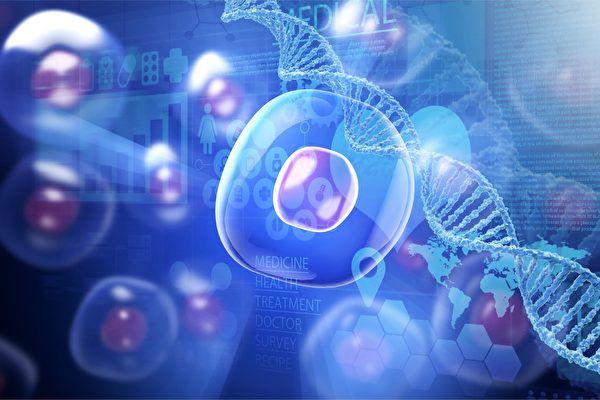 刺客教條是真的？科學家發現: 「細胞會記錄自身成長全部歷史」...這些記憶還能被重啟！ 