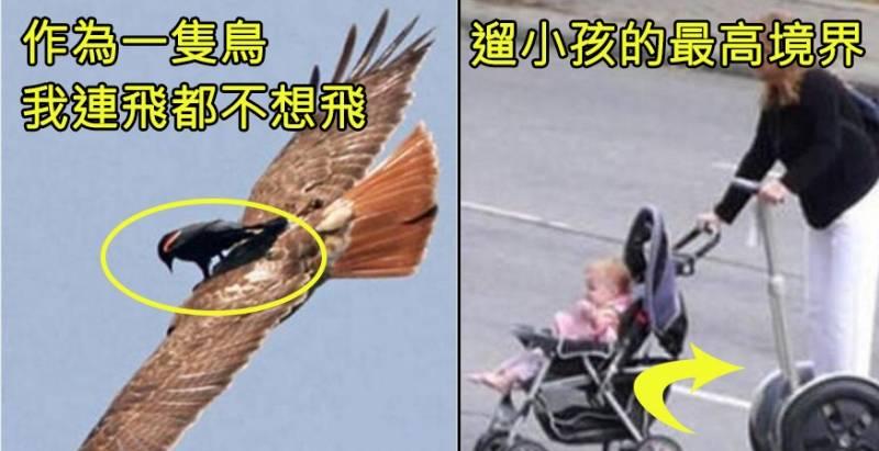 ７張「懶人神技」，對偉人的先見之明跪了