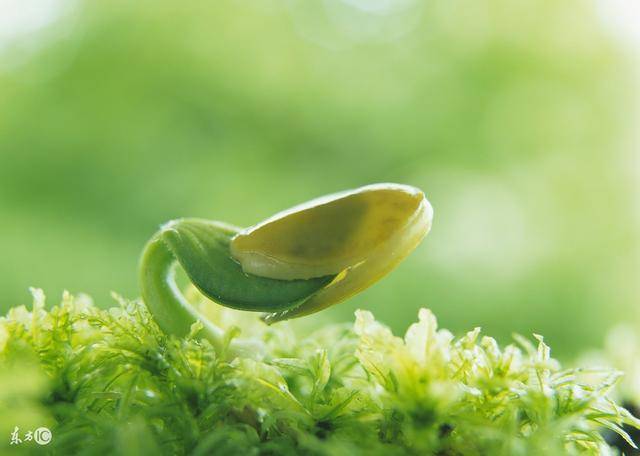 女到中年：不睡三覺，不吃三飯，不做三愛！說的什麼意思