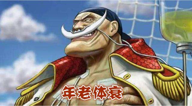 海賊王：准四皇的軟肋分析，白鬍子年老體衰戰死，黑鬍子的最尷尬
