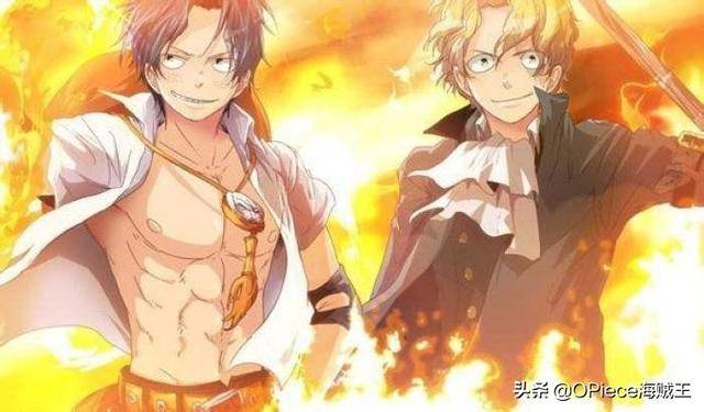 你都知道哪些呢？盤點海賊王中被一個以上的人擁有過的惡魔果實