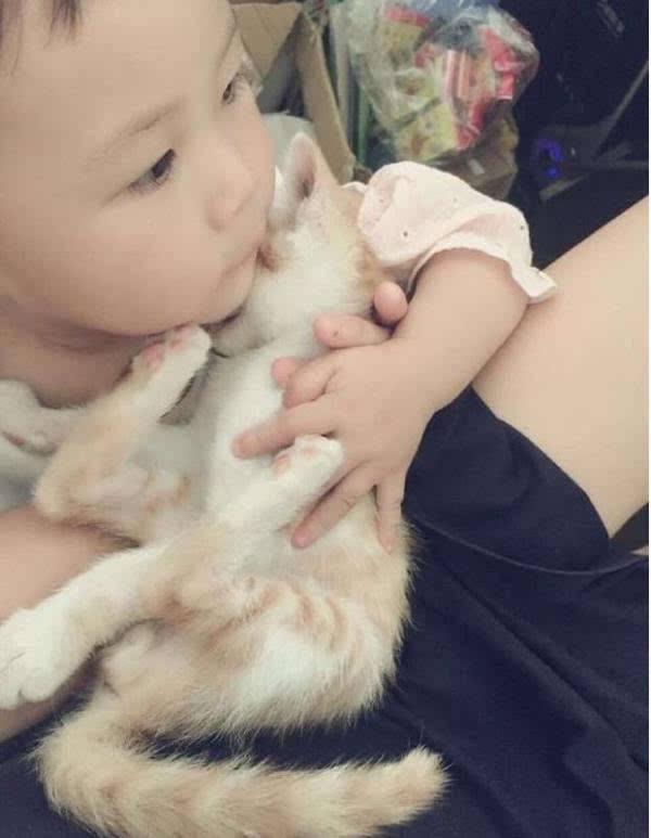 貓咪對嬰兒這麼忍耐，是因為愛嗎？