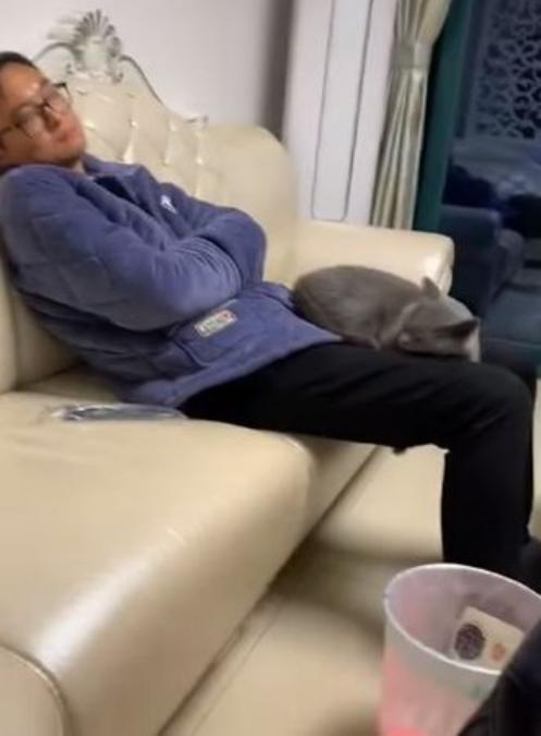 兒子反對獨居老爸養貓，冷戰數月後，卻發現了一個驚訝的事