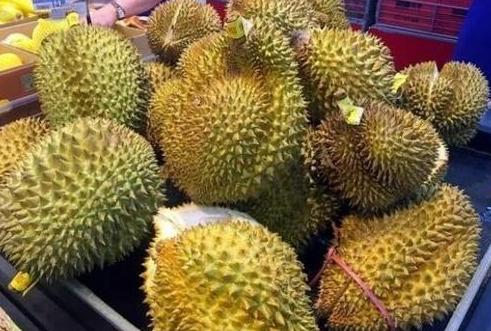 原來榴槤也分「公母」？學會這2招，保你挑到肉多口感好的母榴槤
