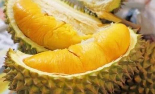 原來榴槤也分「公母」？學會這2招，保你挑到肉多口感好的母榴槤