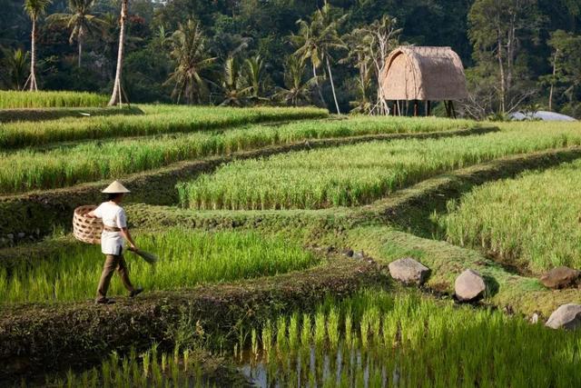泰國、波多黎各、印尼，居然各藏一間「隱世精品」！