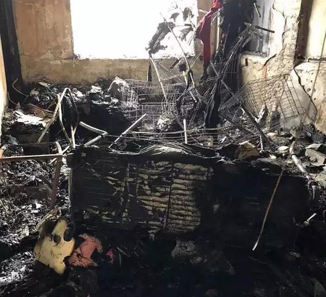 家中起火9隻狗狗被嗆身亡，主人看到床頭的插座泣不成聲