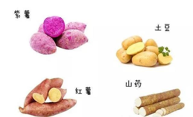 盤點養狗人都做過的黑暗料理：6張圖告訴你到底有多難吃