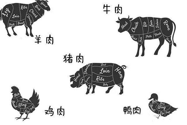 盤點養狗人都做過的黑暗料理：6張圖告訴你到底有多難吃