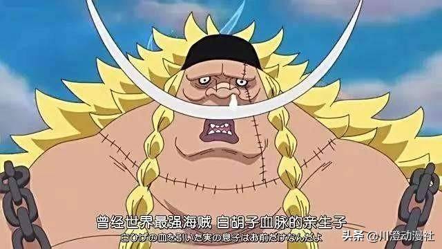 海賊王：路飛問鼎海賊王后，只有這四人能憑藉實力成為新一任四皇