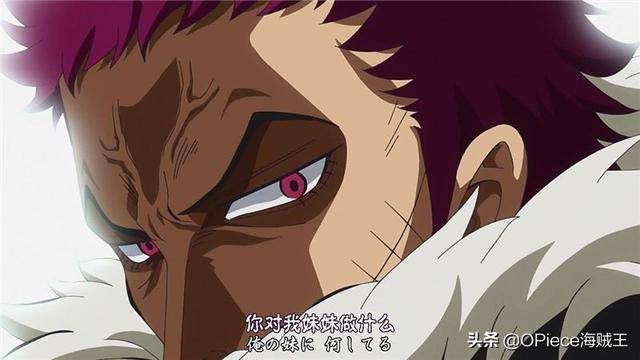《海賊王》「護妹狂魔」卡二吸粉無數，女孩心中的「妹控」哥哥