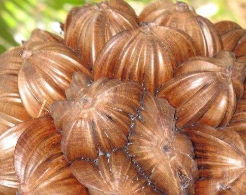 世上「最稀有」的5種水果，很多人沒見過，你見過幾種呢？