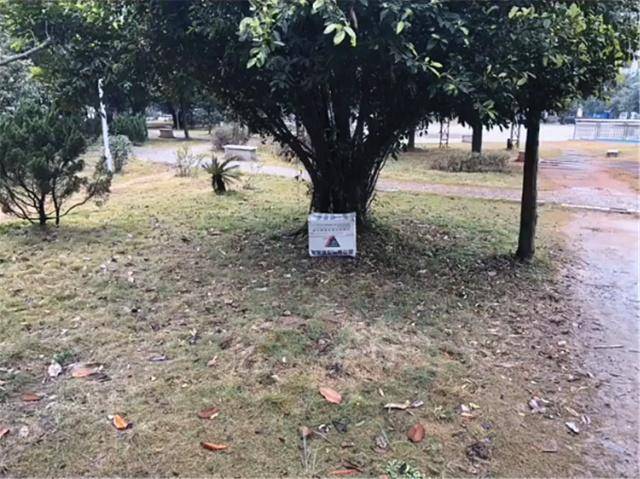 主人將柯基扔在公園，扔給牠500元和一封信，轉身離去，信中寫了什麼？