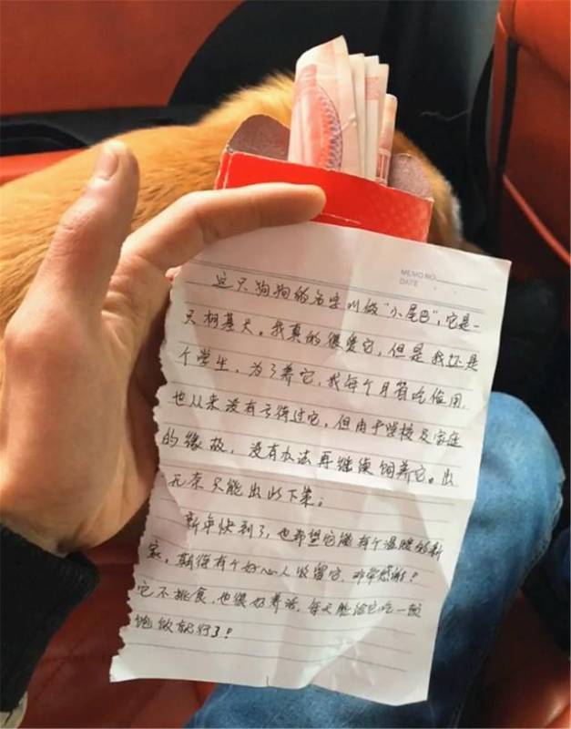 主人將柯基扔在公園，扔給牠500元和一封信，轉身離去，信中寫了什麼？