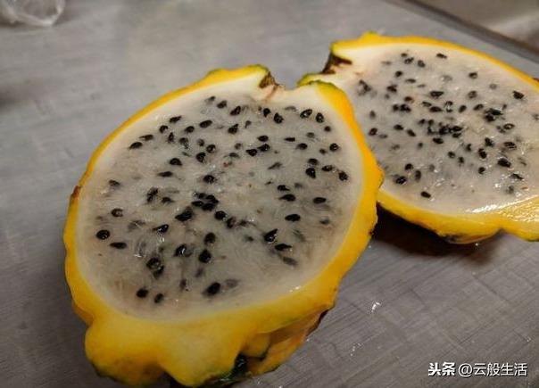 今天才知道外國人吃的水果跟我們真的不同，真想嘗一嘗