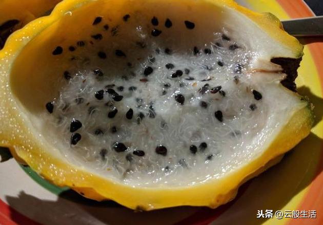 今天才知道外國人吃的水果跟我們真的不同，真想嘗一嘗
