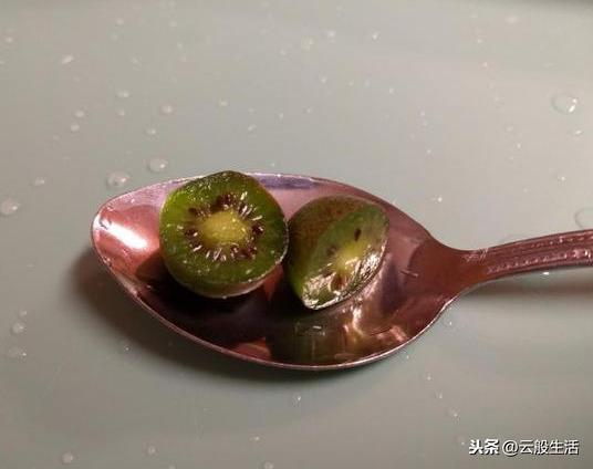 今天才知道外國人吃的水果跟我們真的不同，真想嘗一嘗