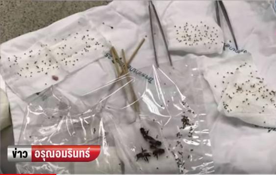 太夭壽！85歲高齡老翁慘遭數百蜜蜂圍攻，「蜂針像一顆顆白白粉刺」布滿臉超驚悚！ 