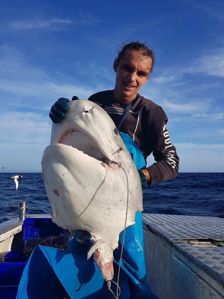 100公斤深海巨獸「時速74公里逃不掉」，身軀遭吞噬僅剩頭...釣客驚呆了！