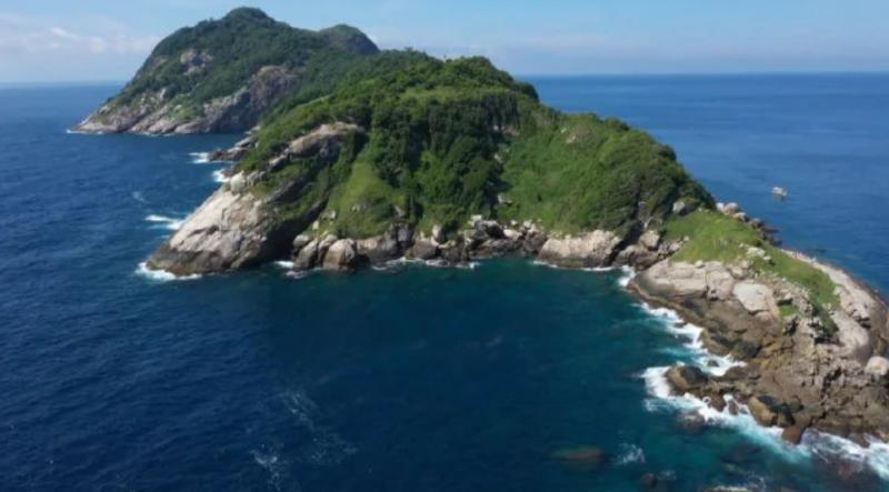 世界最兇毒蛇出沒！4000隻毒蛇「盤踞蛇島」　當地人警告：去了回不來
