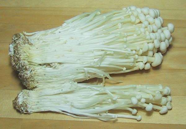 金針菇「連吃4週」內臟脂肪少20%、小腹消光光　專家透露：這樣吃最能瘦！