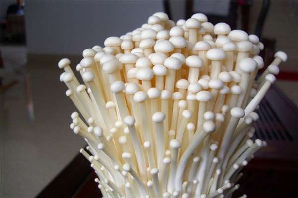 金針菇「連吃4週」內臟脂肪少20%、小腹消光光　專家透露：這樣吃最能瘦！