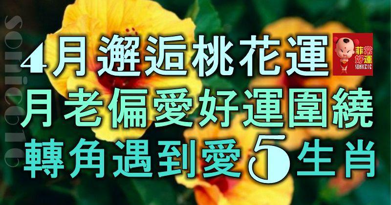 4月邂逅桃花運，月老偏愛、好運圍繞，轉角遇到愛的5大生肖！