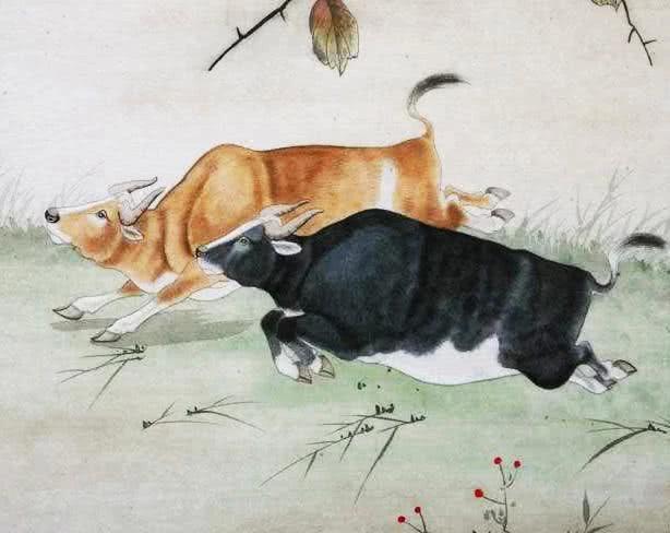 4月邂逅桃花運，月老偏愛、好運圍繞，轉角遇到愛的5大生肖！