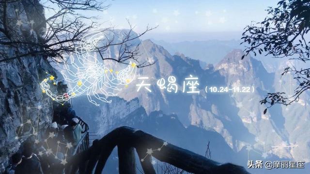 哪些星座在愛情受過傷，就難以治癒，就算癒合也會留疤