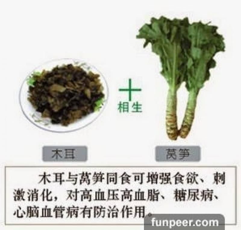 哪種食物會相剋？你一定不能不知道，別吃錯哦，快收藏
