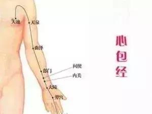 【每天敲一敲 身上這3條經絡 從頭到腳都舒服！】