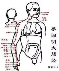 【每天敲一敲 身上這3條經絡 從頭到腳都舒服！】