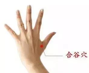 【每天敲一敲 身上這3條經絡 從頭到腳都舒服！】