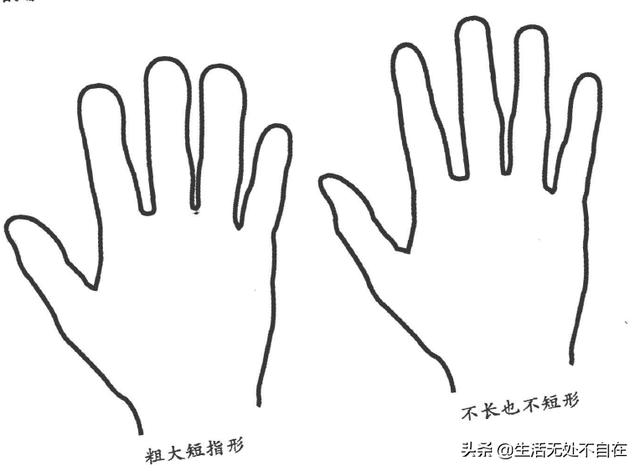 看五指形狀，知五臟情況，調五臟疾病（掌中健康乾坤三）