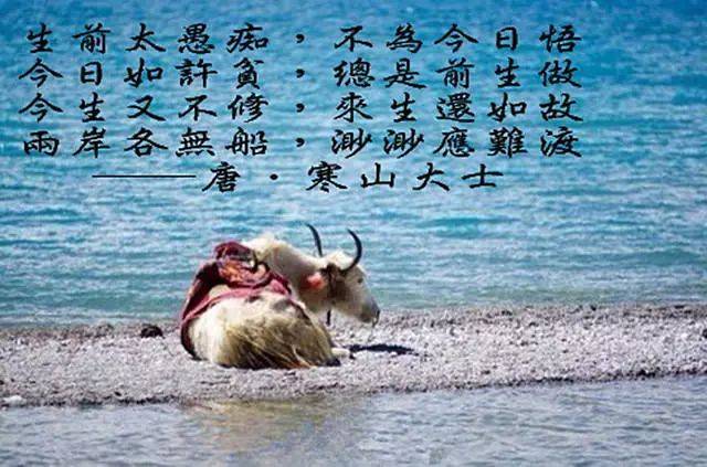 看完此文就能知道前世今生，不可思議，太神奇了！