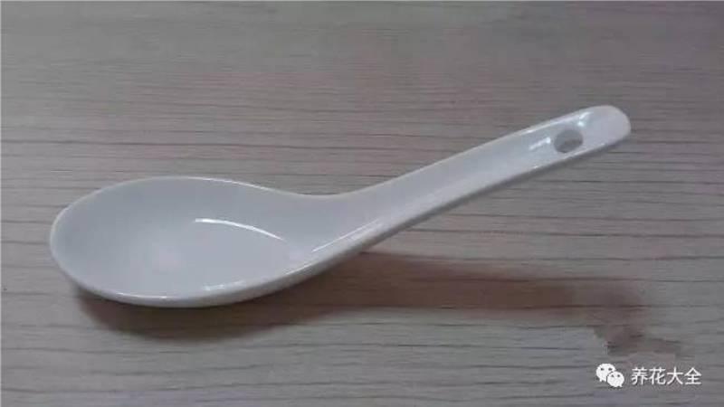 花 盆 裡 面 滴「1 滴 油」，花 1 個 月 就 爆 盆，10 年 不 黃 葉！